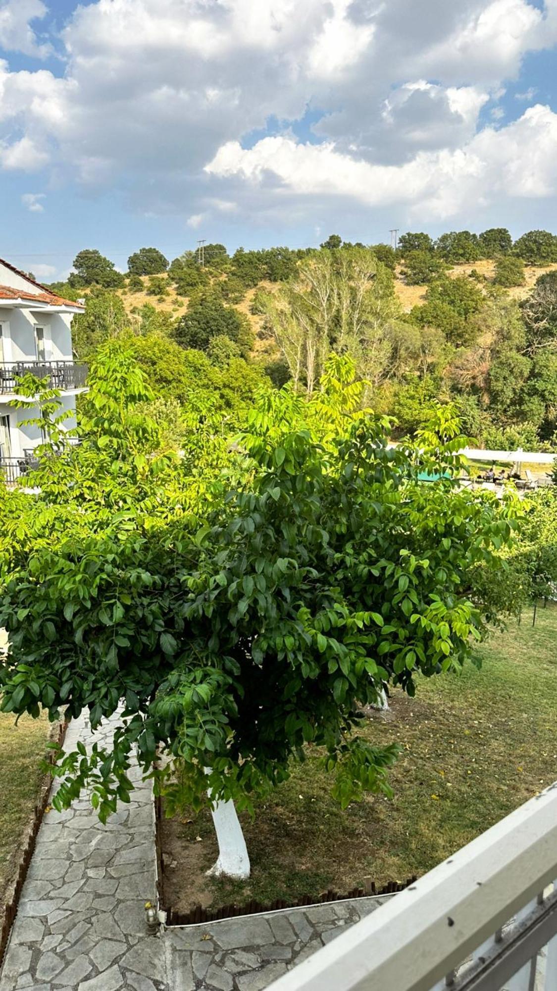 Tselikas Hotel Kozani Habitación foto
